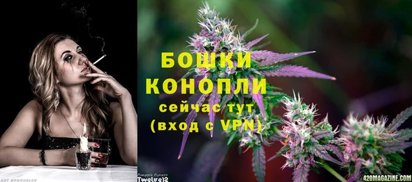 дживик Струнино