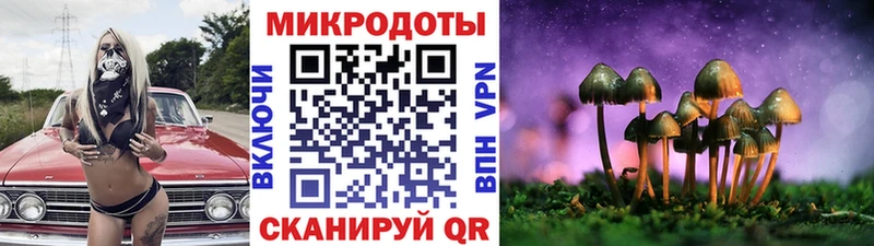Псилоцибиновые грибы GOLDEN TEACHER  Урус-Мартан 