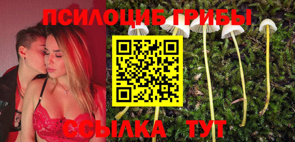 купить   Вход с VPN  Урус-Мартан  Псилоцибиновые грибы Psilocybe 