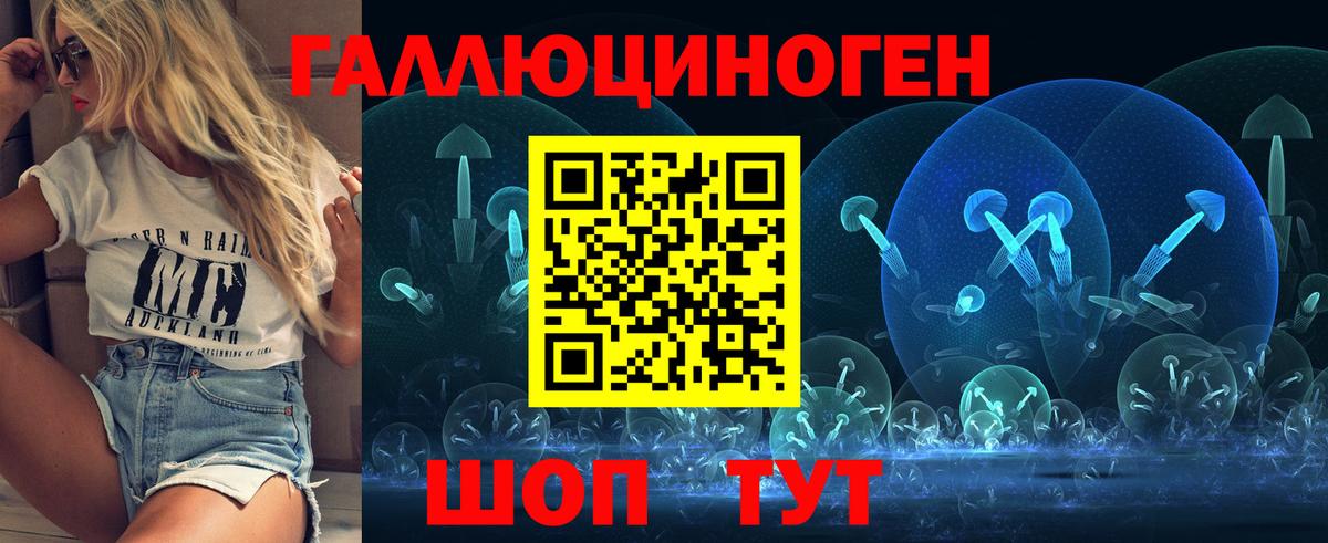 Псилоцибиновые грибы Psilocybe Урус-Мартан